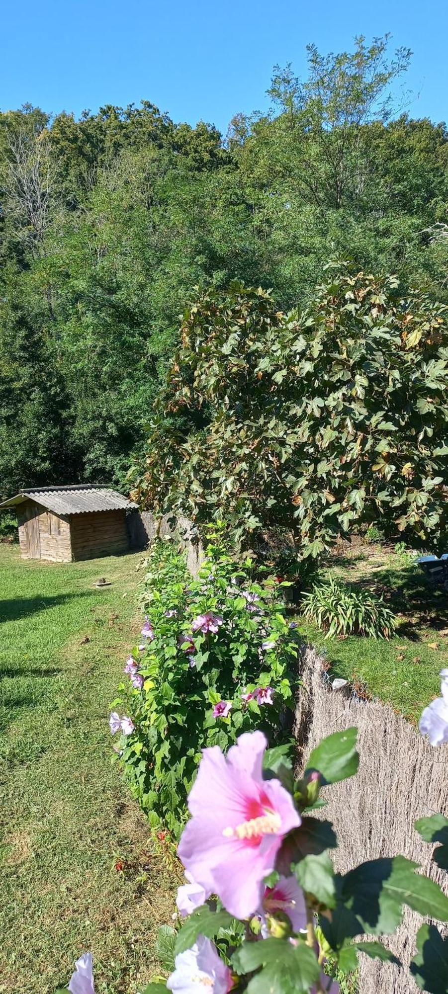 La Casa Bed&Breakfast Entree Independante 26M2 Calme Proche De Tout Wifi Parking Prive Jardin Terrasse Urrugne Luaran gambar