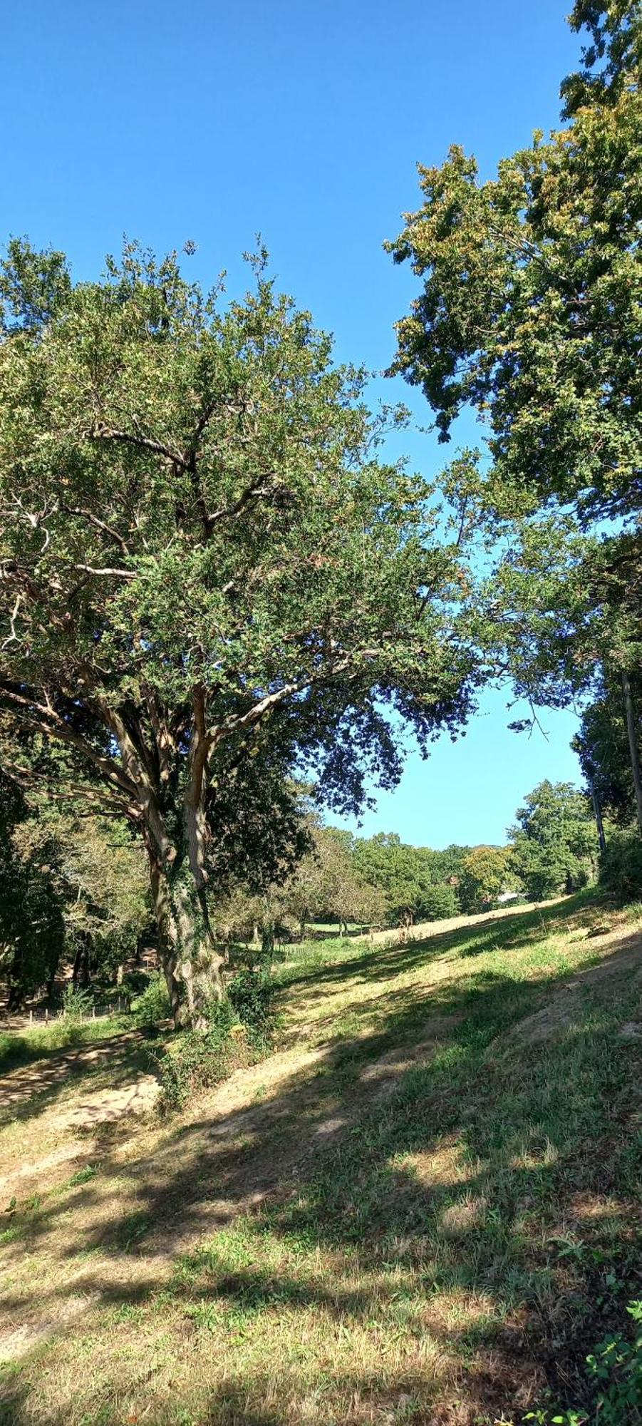 La Casa Bed&Breakfast Entree Independante 26M2 Calme Proche De Tout Wifi Parking Prive Jardin Terrasse Urrugne Luaran gambar